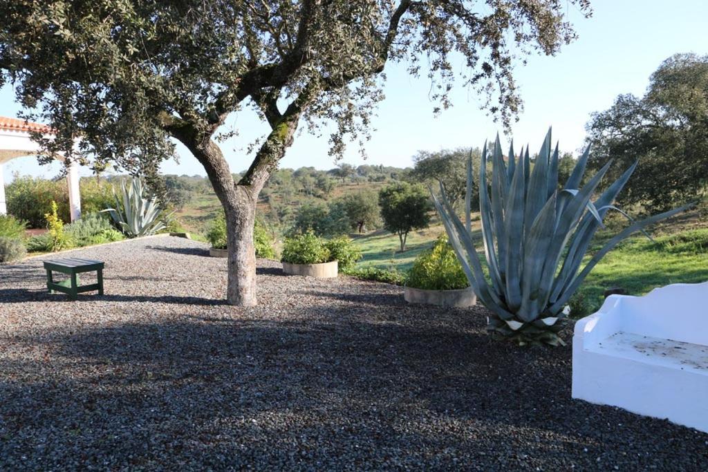 Monte Novo Da Sobreira, Rust En Ruimte In Zuid Alentejo Lägenhet Ourique Exteriör bild